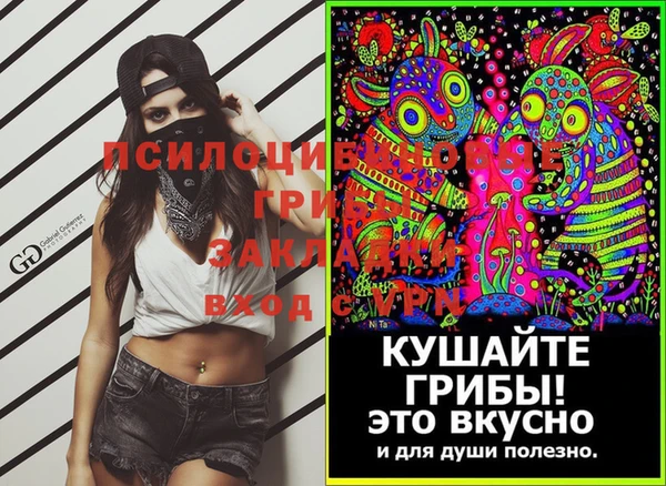 ПСИЛОЦИБИНОВЫЕ ГРИБЫ Нея