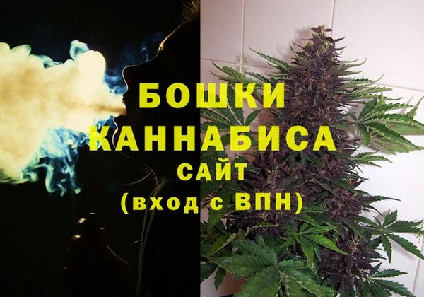 ПСИЛОЦИБИНОВЫЕ ГРИБЫ Нея