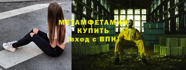 прущие грибы Навашино